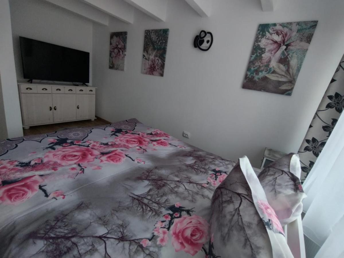 Apartament Alyosha Sighişoara Eksteriør bilde